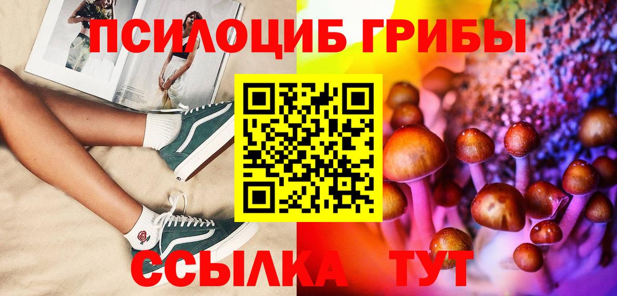 Сорочинск  купить наркотики цена  Вход с VPN  Галлюциногенные грибы прущие грибы 