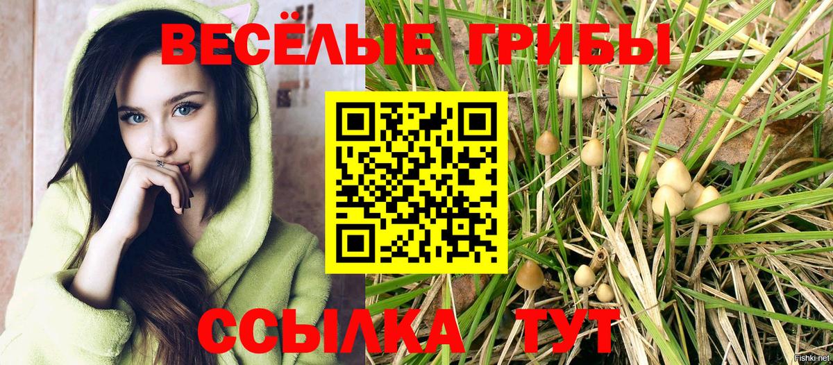 Галлюциногенные грибы GOLDEN TEACHER Сорочинск
